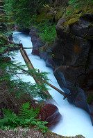 Avalanche Creek Gorge 2